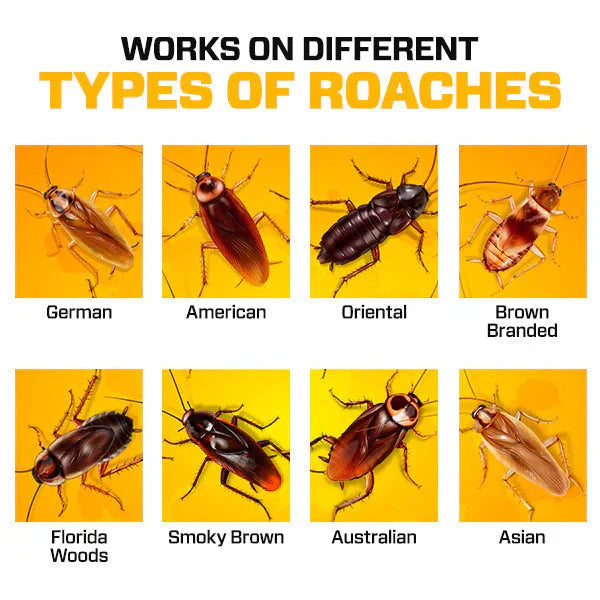 InstaKill Roach Gel™ (24pc)