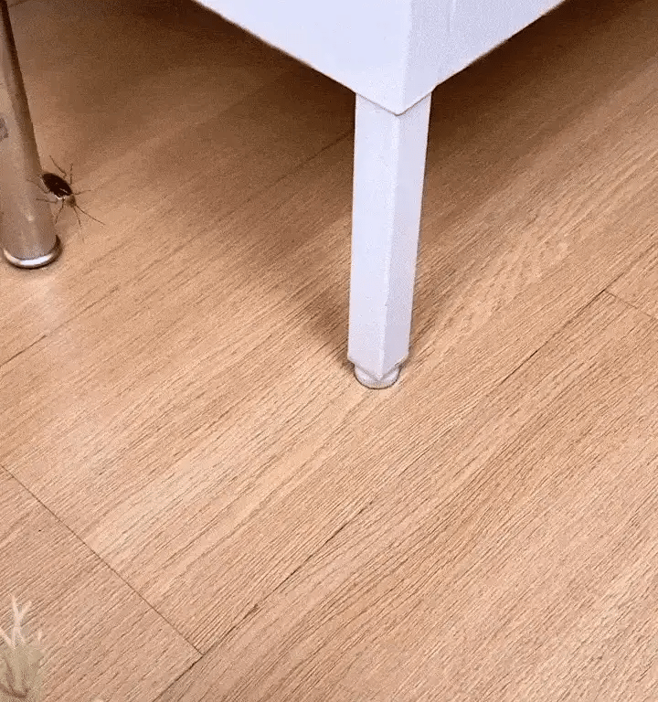 InstaKill Roach Gel™ (24pc)